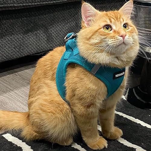 Vista 81 de Best Pet Supplies Voyager Step-in Air - Arnés de malla para todo tipo de clima, reflectante, antitirones, para perro y gato pequeño y mediano, Arnés