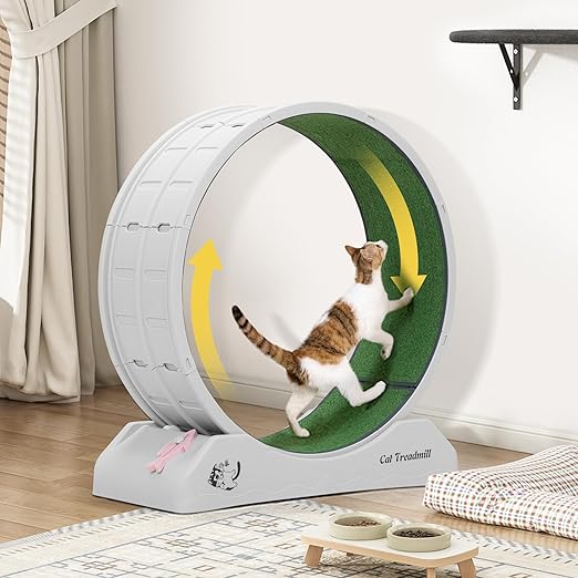 31.5" Large Cat Treadmill, Cat Exercise Wheel with Locking Mechanism Nonslip Carpet Cat Teaser Running Wheel for Indoor Cats Small Animals, Gray