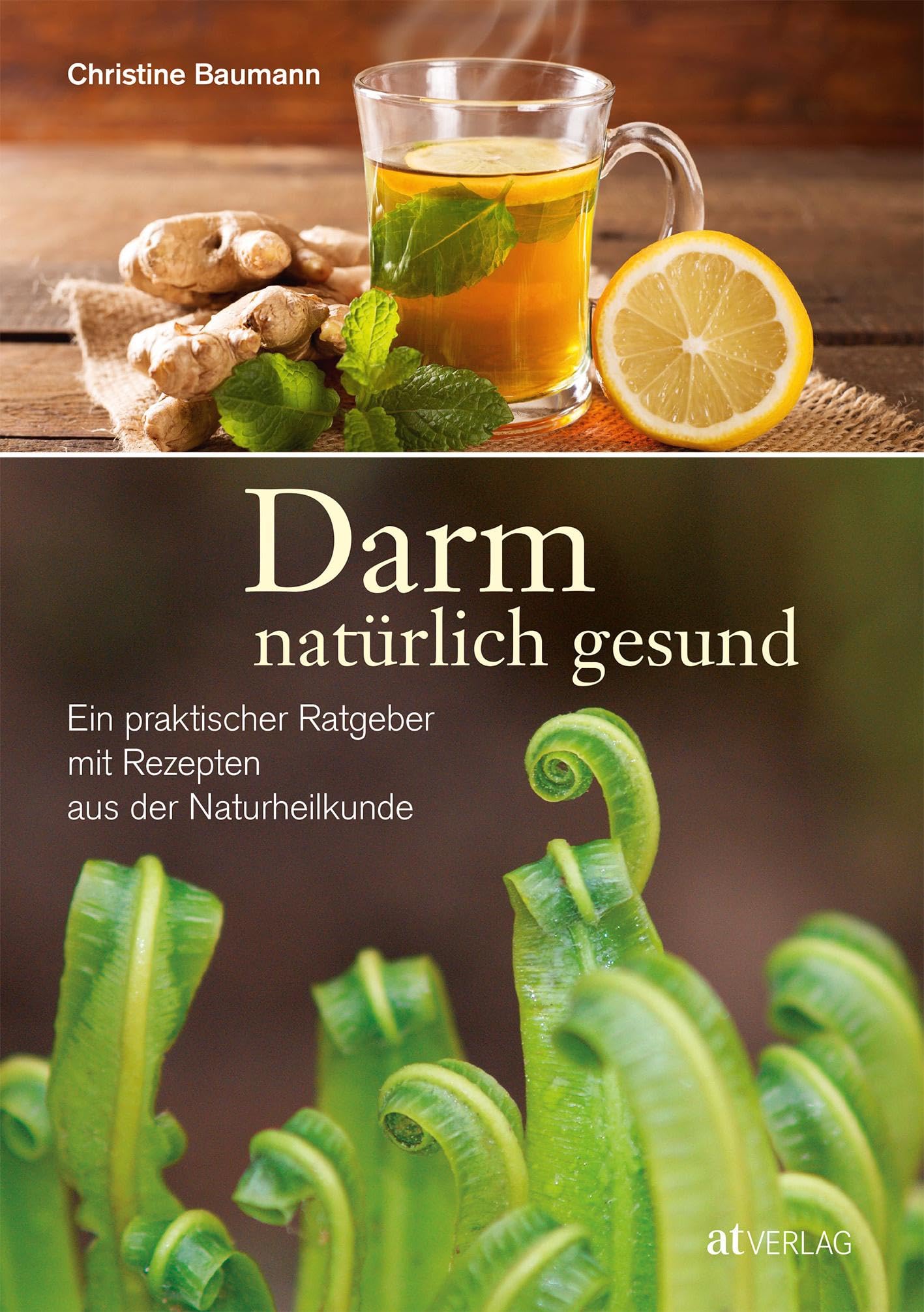 Darm - natürlich gesund: Ein praktischer Ratgeber mit Rezepten aus der Naturheilkunde