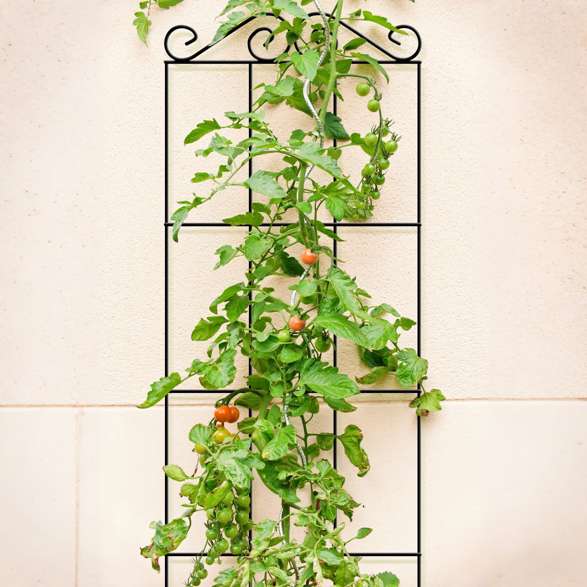 ARIFARO 48 metalen tuinrooster voor klimplanten, (pak van 4) stevige ARIFARO 48 metalen tuinrooster voor klimplanten, (pak van 4) stevige