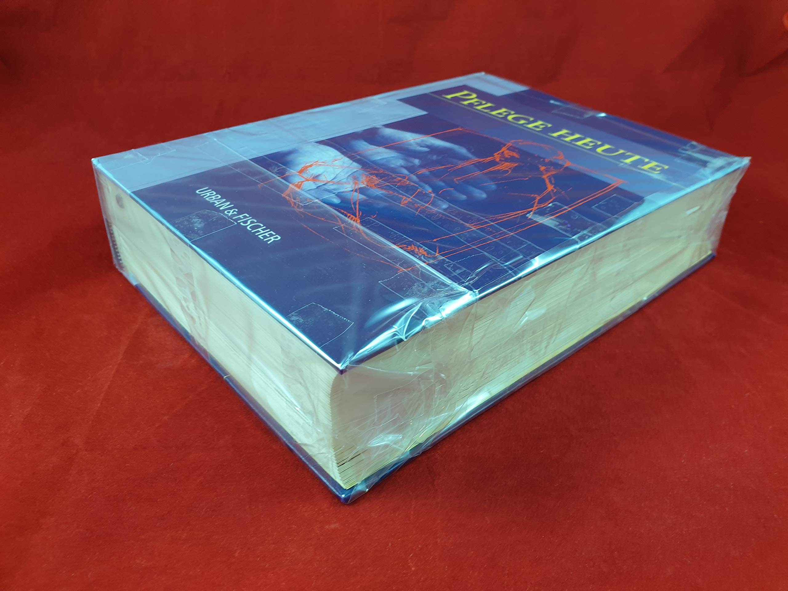 Pflege heute. (Lehrbuch und Atlas für Pflegeberufe)