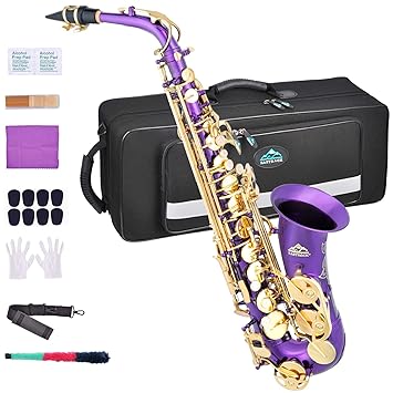 EASTROCK purple/Golden Alto Saxophone E Flat Sax Full Kit for Students Beginner with Carrying Case,Mouthpiece,Mouthpiece Cushion Pads,Cleaning Cloth&Cleaning Rod,White Gloves,Neck Strap
