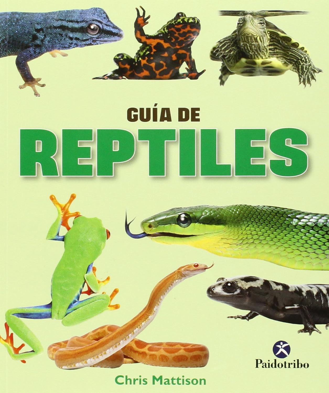 Guía de reptiles (Spanish Edition) Mattison, Chris 9788499105390