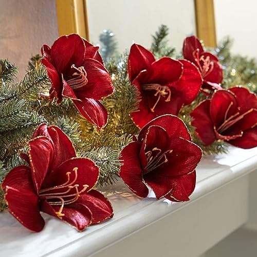 BrylaneHome Amaryllis Clips, Juego de 6 - Rojo