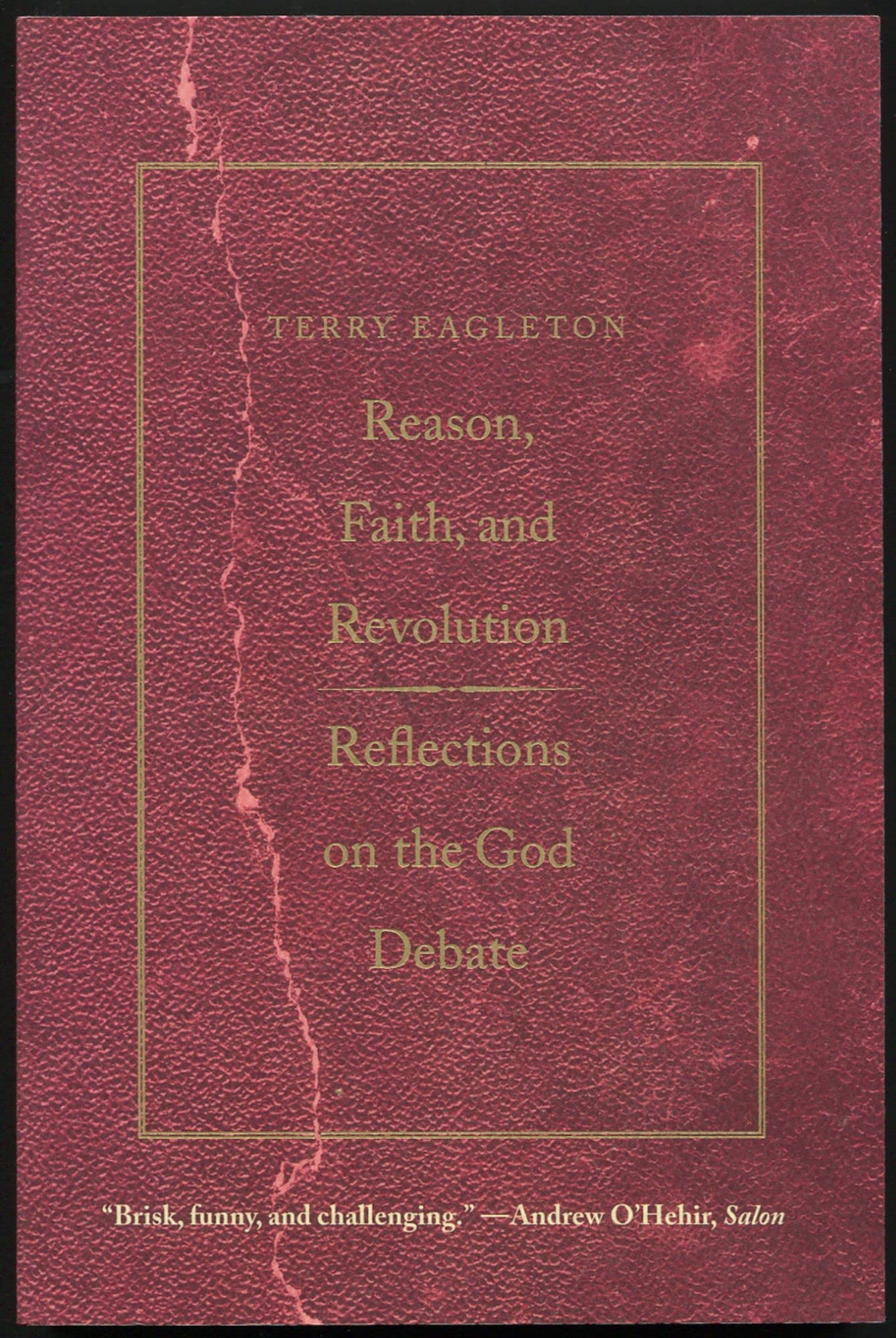 Reason, Faith, and Revolution: Reflections on the God Debate (The Terry Lectures Series)
