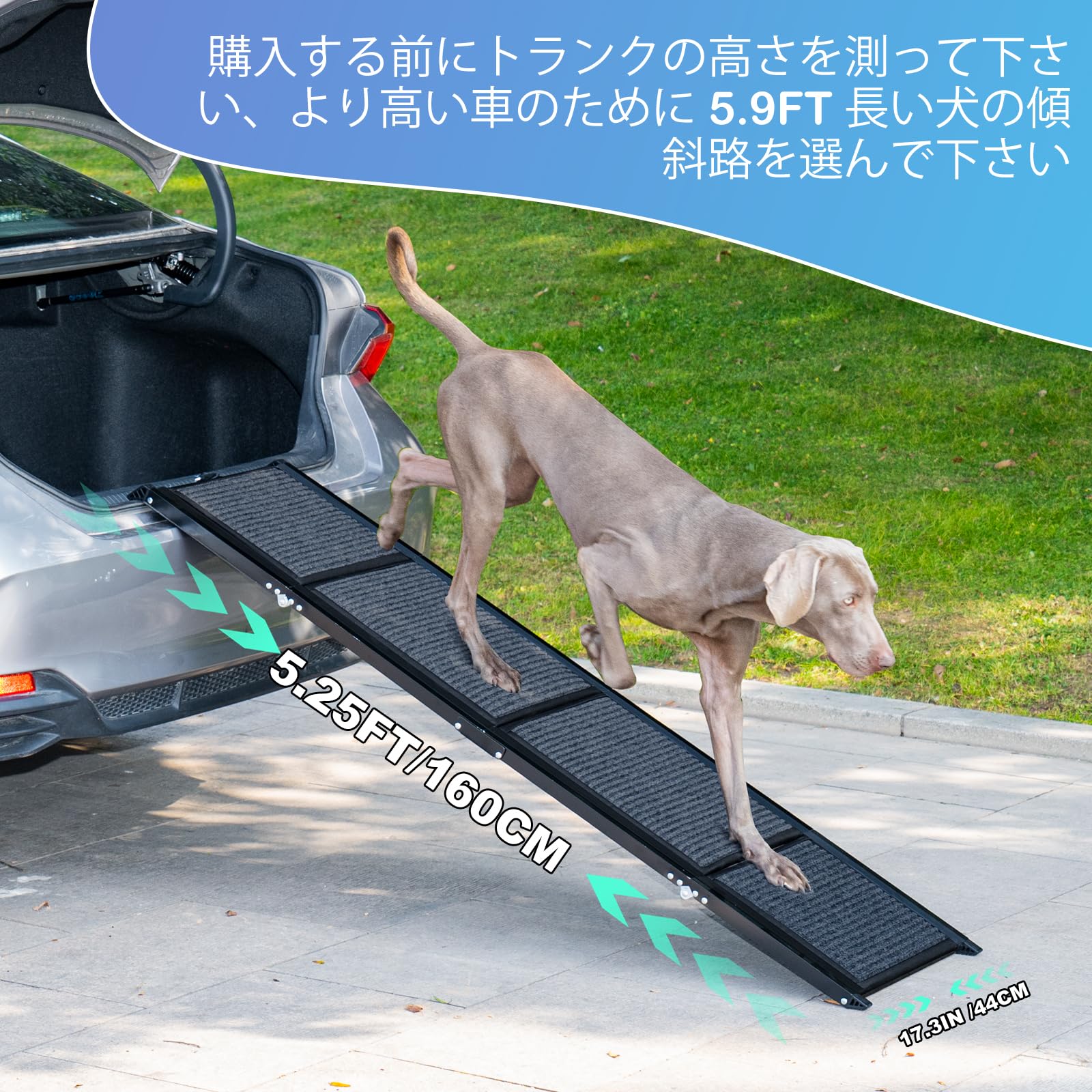 Amazon.co.jp: Uross 3つ折り ペット スロープ [ 全長 160cm