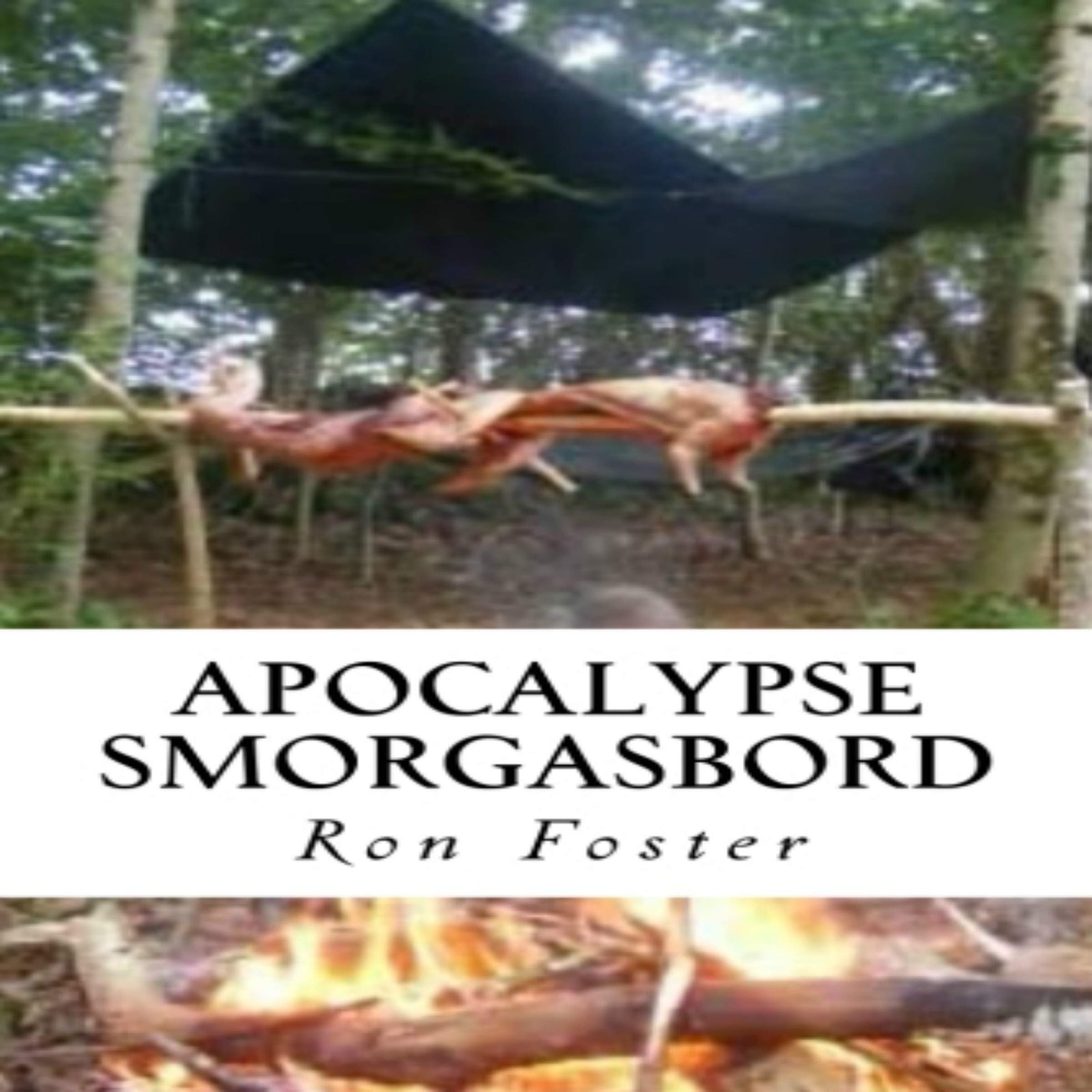 Apocalypse Smorgasbord: Prepper up Grid Down