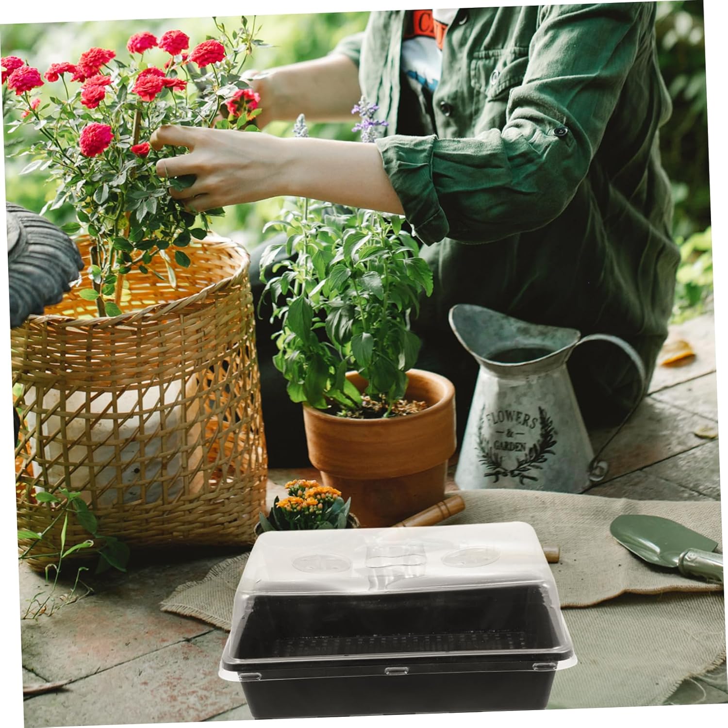 MERRYHAPY 5sets Plant Germination Tray High Low Covers for Home Greenhouse Growing Containers for Seed Starting and Microgreens for Use