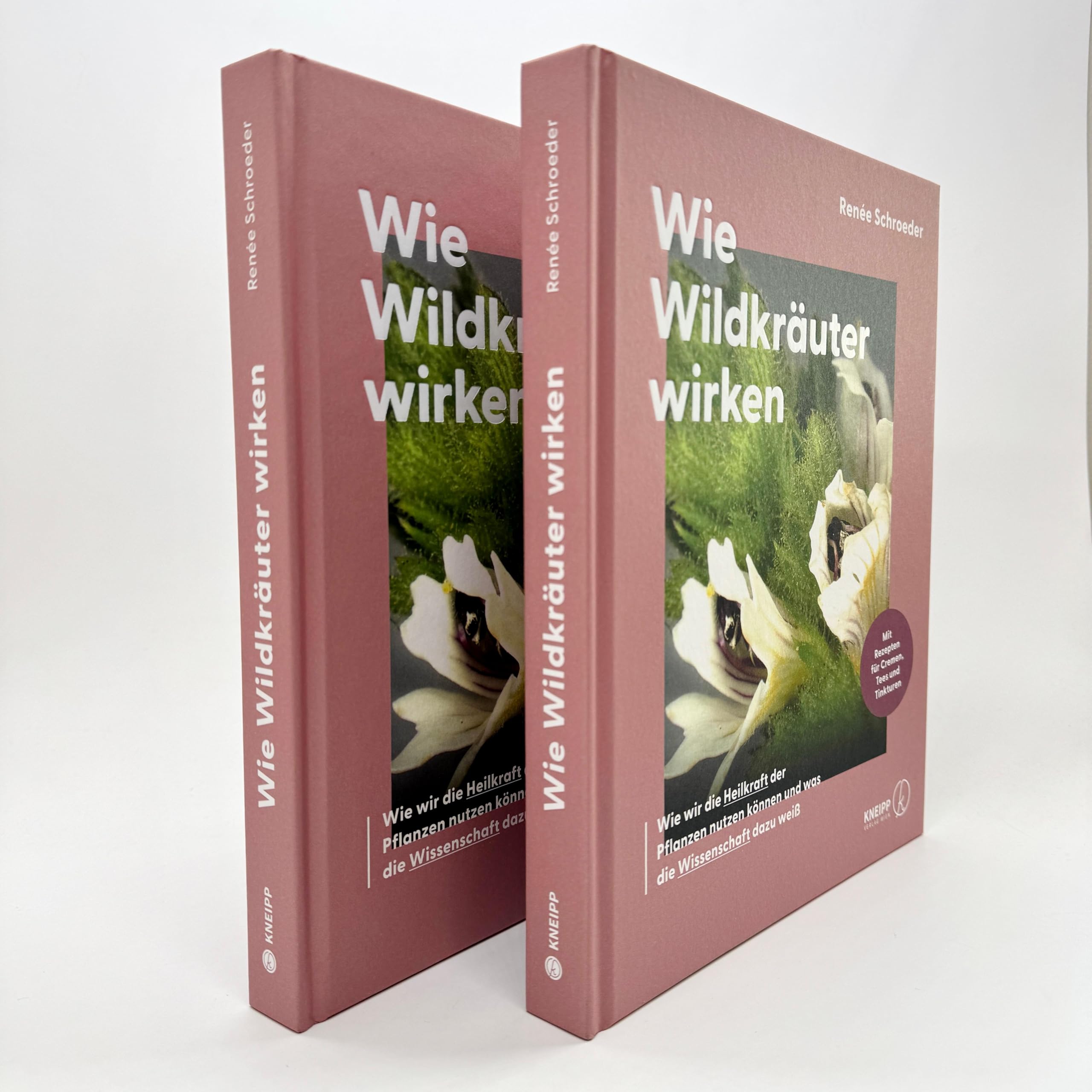 Wie Wildkräuter wirken: Wie wir die Heilkraft der Pflanzen nutzen können und was die Wissenschaft dazu weiß