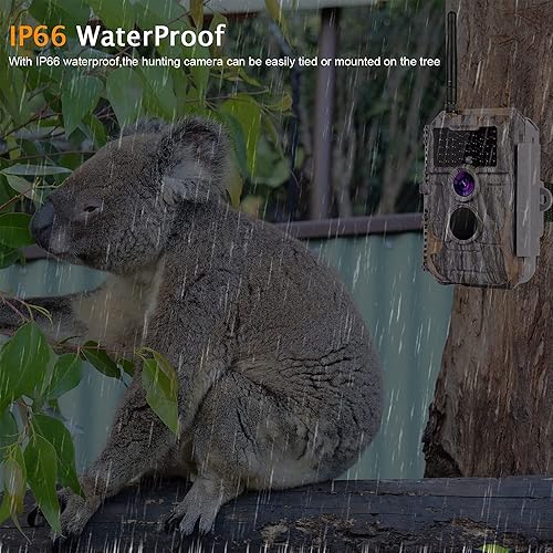 Miniatura 6 de Cámara WiFi para juegos y senderos, 32MP 1296P, MP4, H.264, cámara de ciervo sin brillo, visión nocturna activada por movimiento, impermeable para