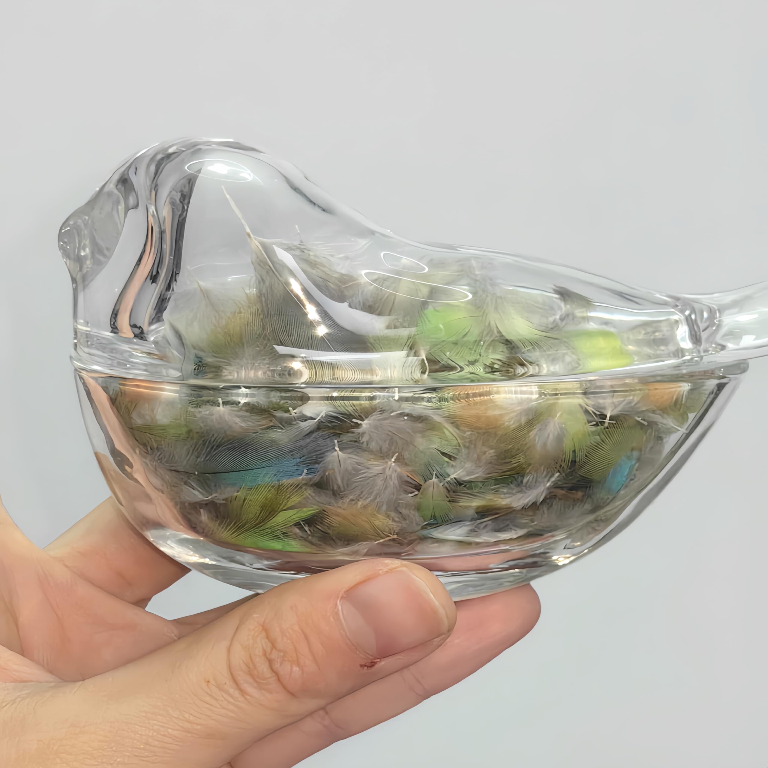 Amazon.co.jp: ペット 遺毛 ケース 鳥用 鳥毛収集ボックス 鳥の羽の