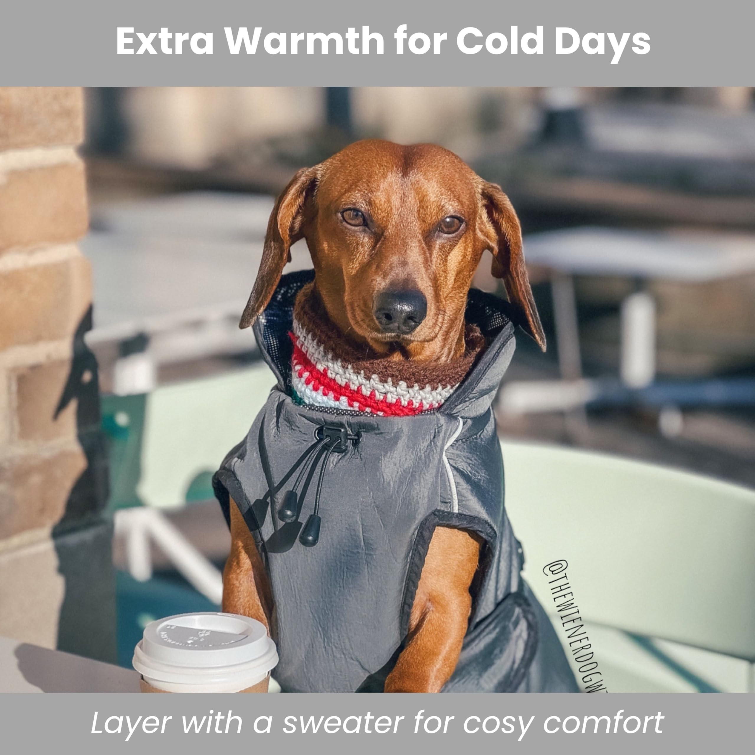 Cappotto invernale per cane-Impermeabile-Caldo-Isolato-Gilet (M, grigio scuro)