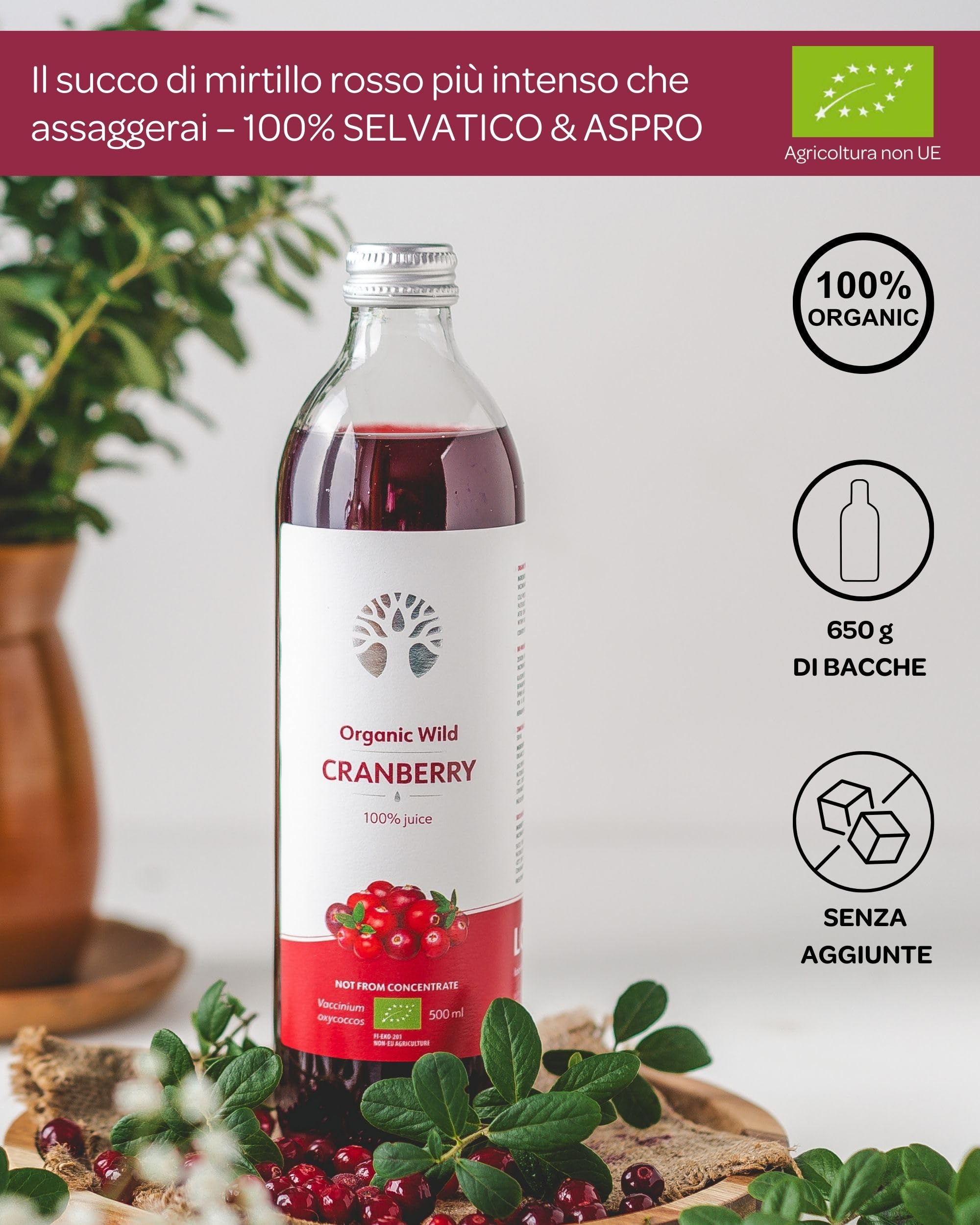 Succo di mirtillo rosso selvatico biologico LOOV – 100% puro, spremuto a freddo, senza zuccheri aggiunti – Sapore forte, non da concentrato – 6 x 500 ml in vetro