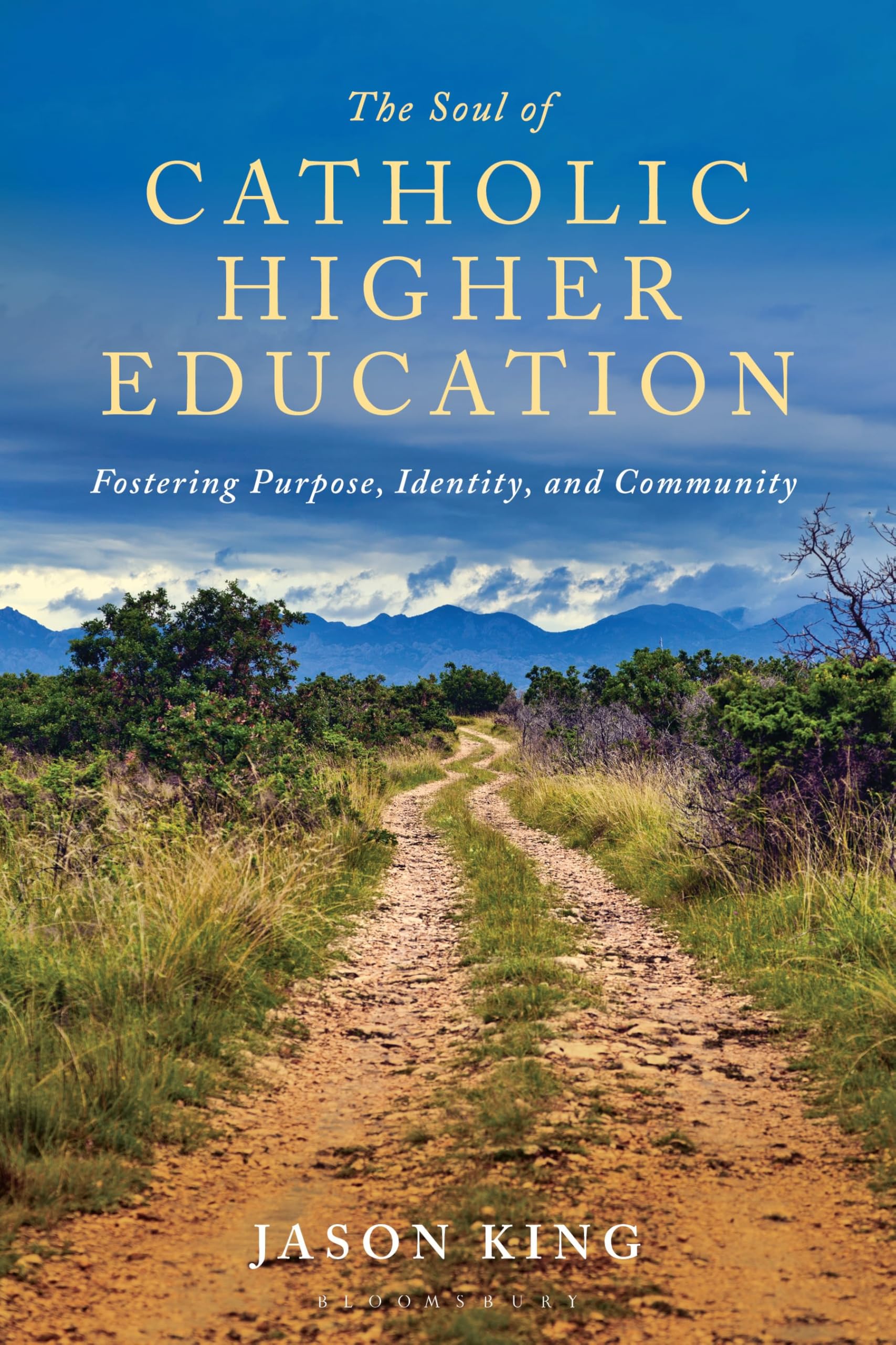 The Soul of Catholic Higher Education: Fostering Purpose, Identity, and Community