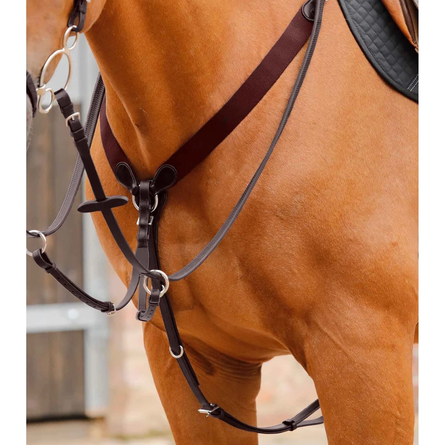 Premier Equine Martingala per Cavalli Baressa