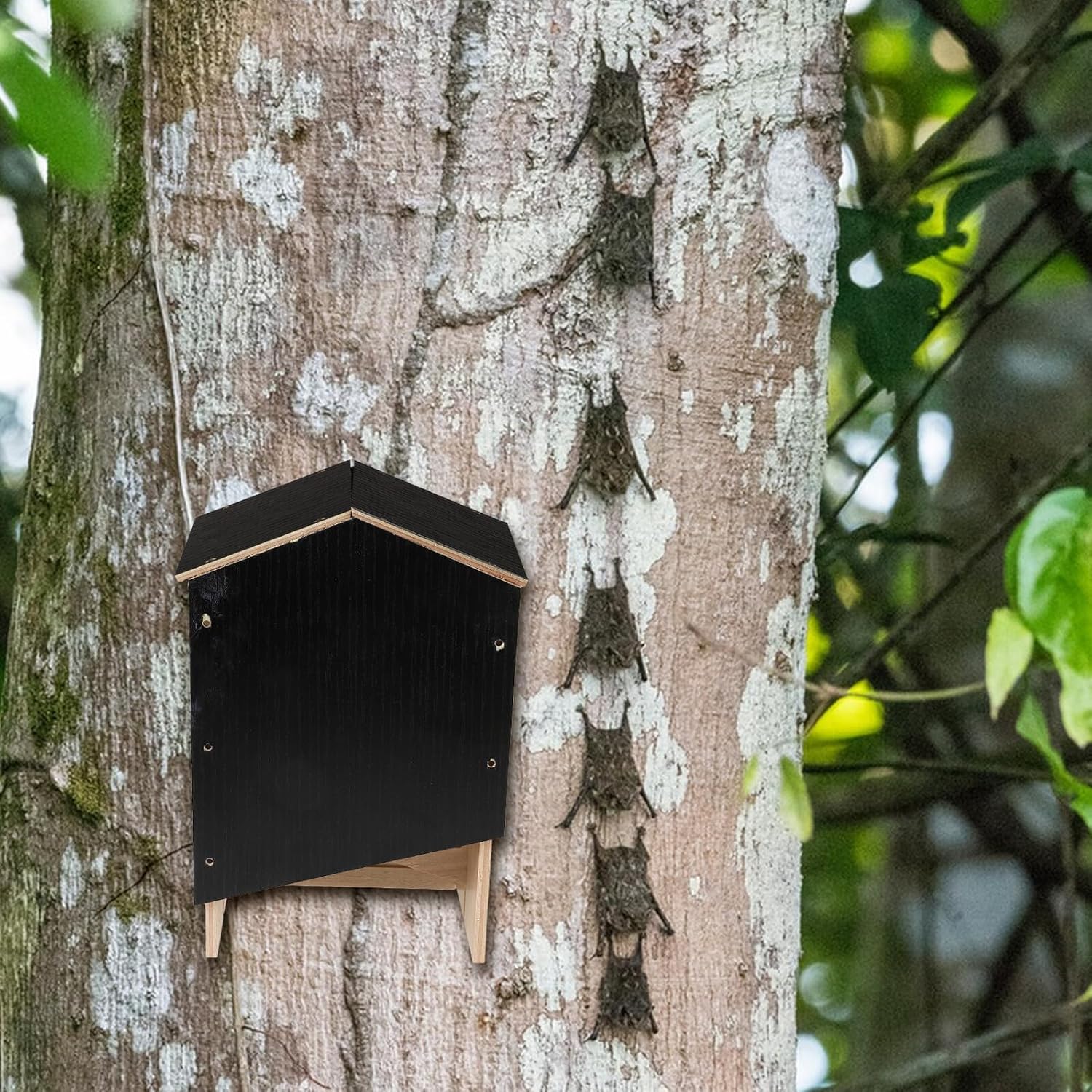 HEMOTON Wooden Backyard Bat House Double Chamber Outdoor Bat Shelter Handmade Box for Yard Mount Suitable for Natural Wildlife Habitat