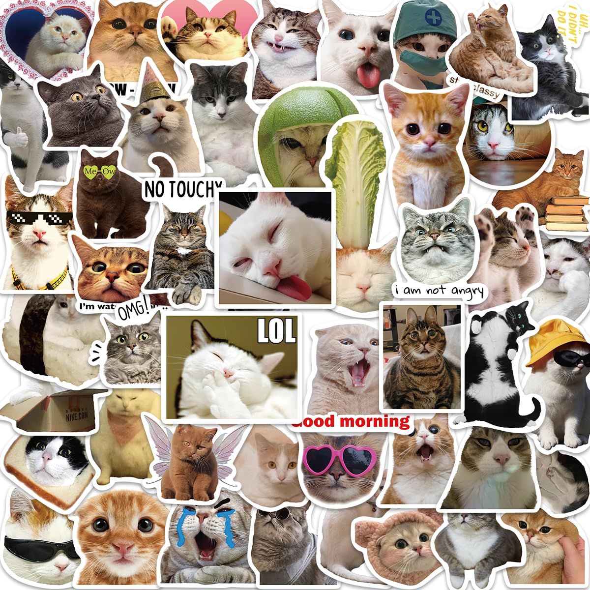50 Stück Katzen-Emoji Sticker Set – Lustige Meme Aufkleber Für Laptop, Handy & DIY Dekoration