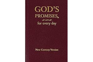 God Bless USA Bible: God's Promise for Every Day
