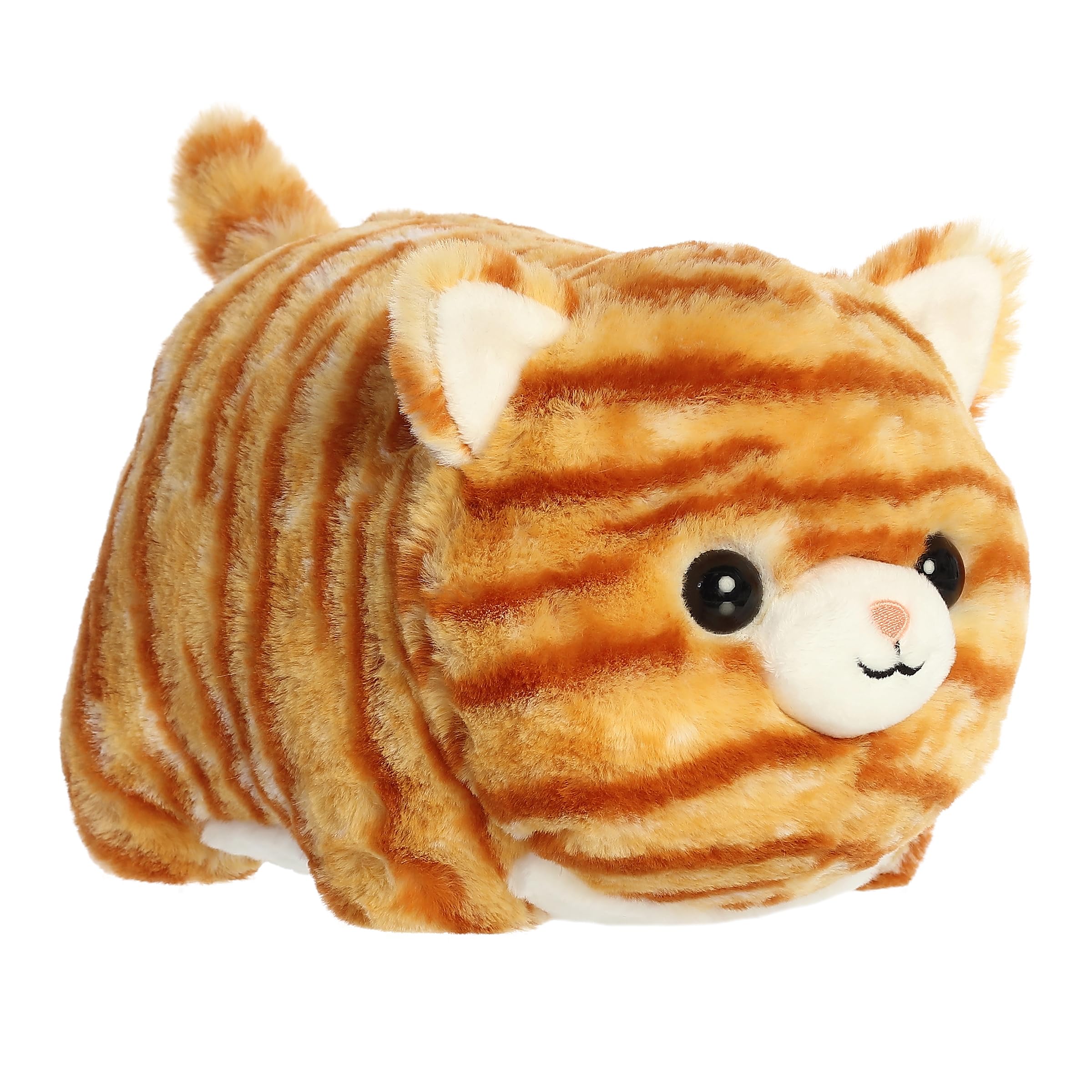キャットフード aurora Amazon.com: Aurora 31279, 16625 8