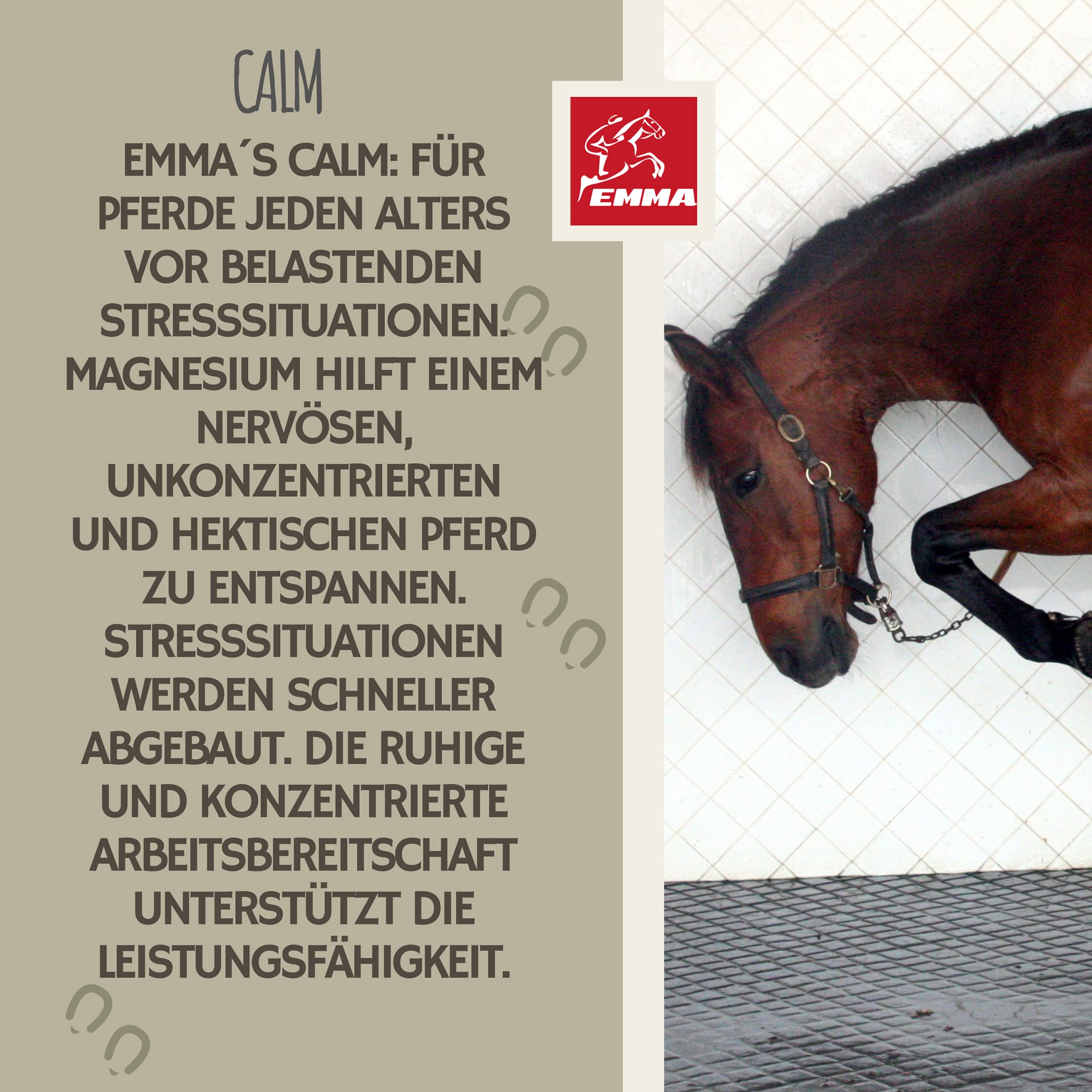 Buy EMMA® Horse supplements magnesium I Calmer for horses plus Vitamin