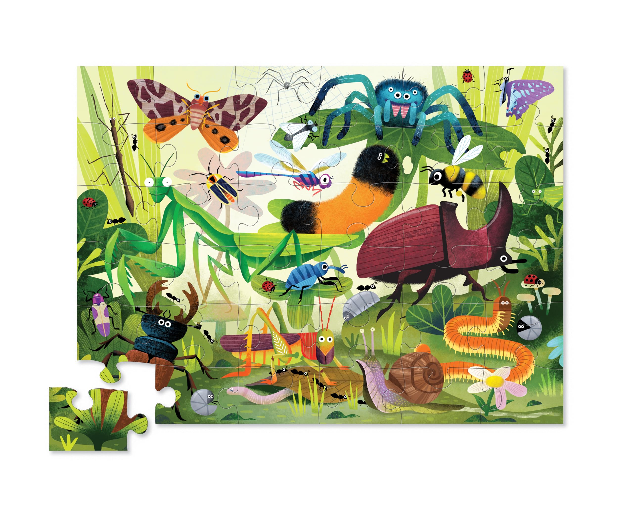 Crocodile Creek, Backyard Bugs - Image 2