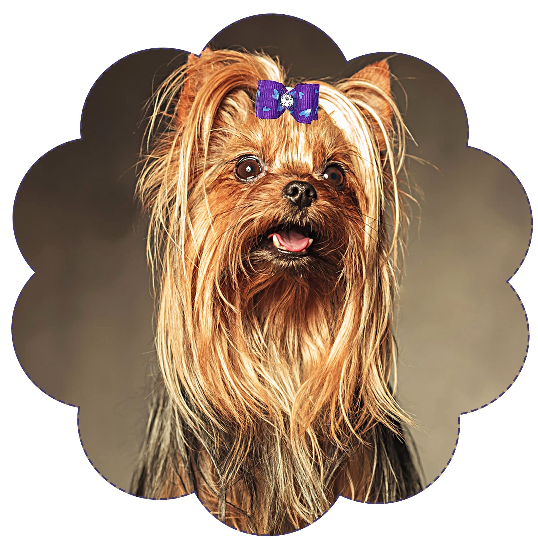 12 Nœuds à Poils Bouclés Pour Chien/chat – Avec élastiques, Design à Pois, Pour Petites Et Moyennes Races