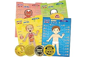 i-Poster My Body: Interactive Educational Human Anatomy Talking Game Toy