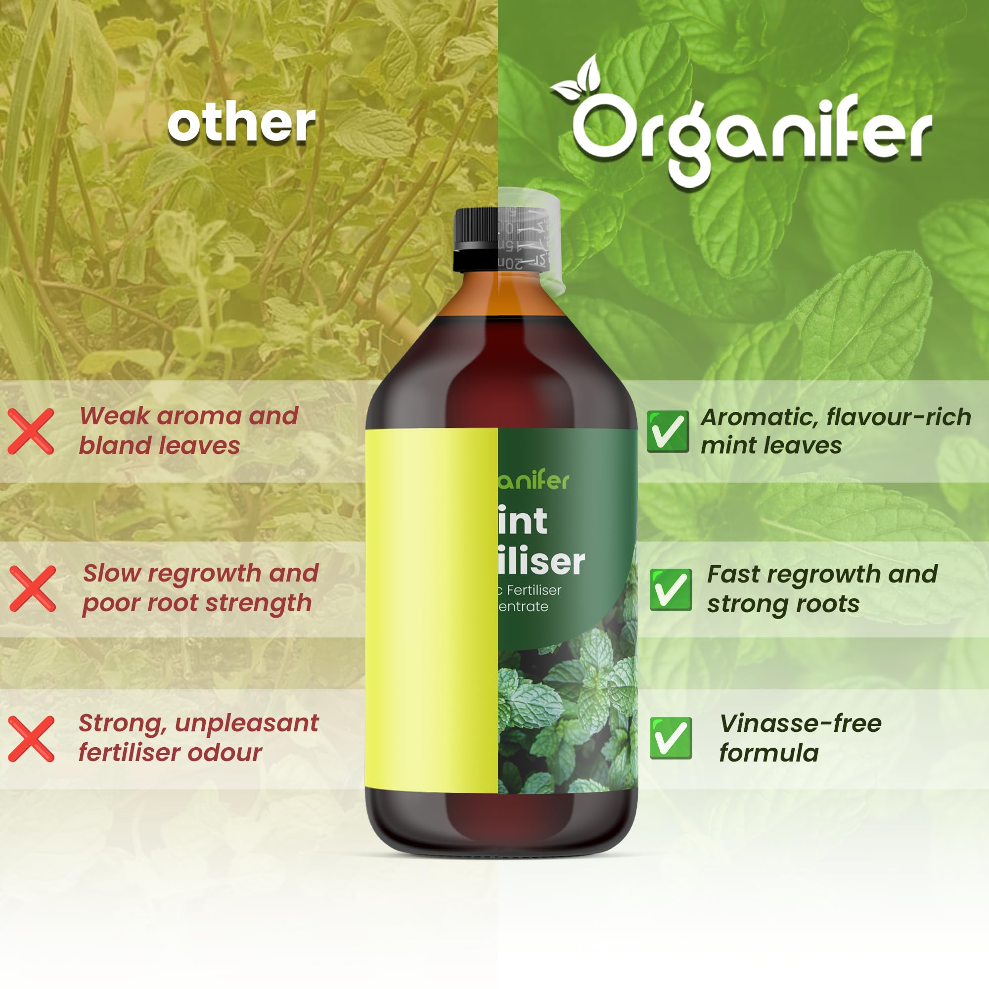 Engrais liquide organique 1L pour Menthe – croissance optimale et feuillage luxuriant – Organifer