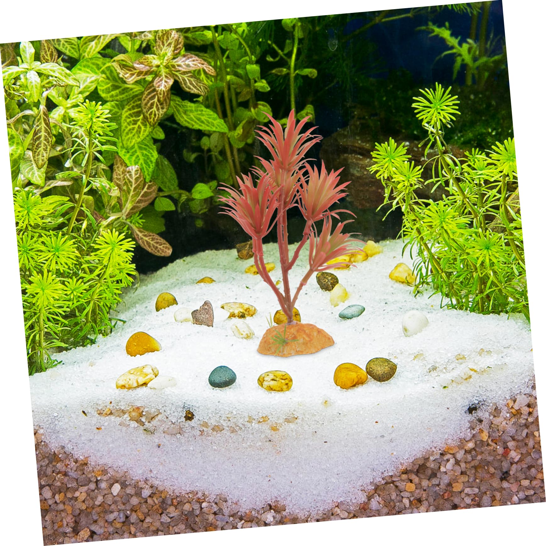 UPKOCH 5 Pezzi Set di piante simulato Acquari piante artificiali impianti habitat acquatico ornamento del serbatoio di pesce pianta acquatica falsa betta pesce plastica