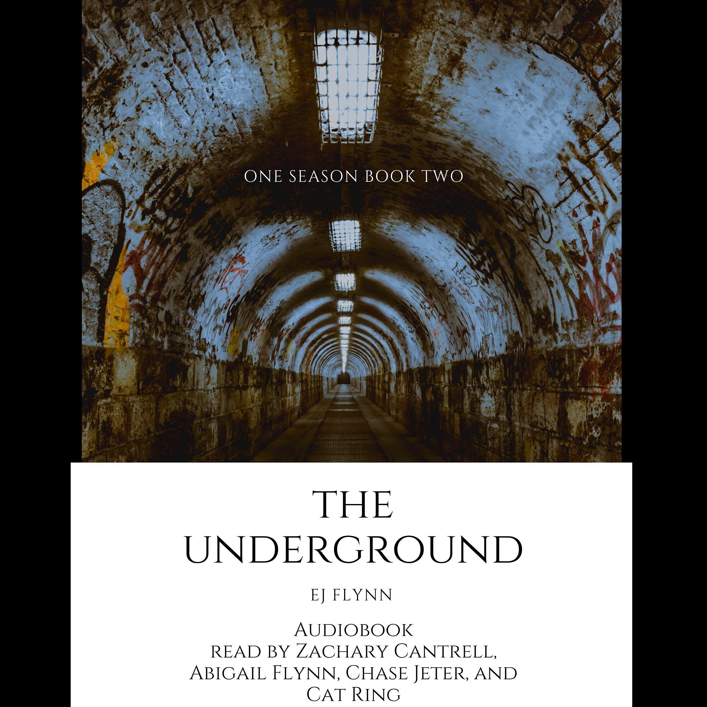 Cover art for The Underground