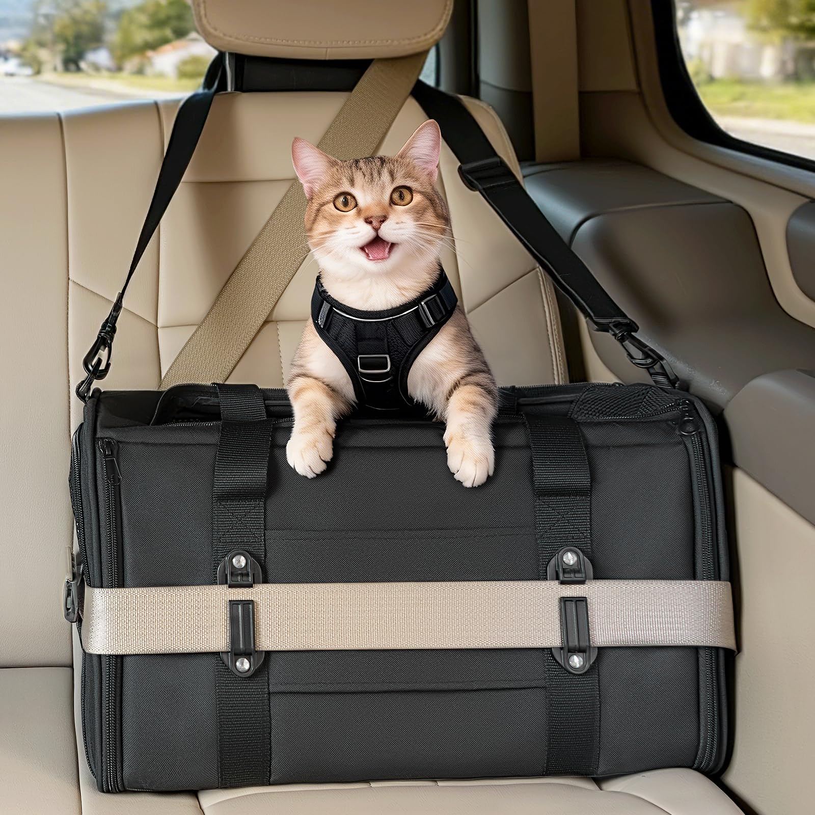 PETSFIT Large Cat Carrier with Patented Safety Buckles,Big Cats Up to 20 lb