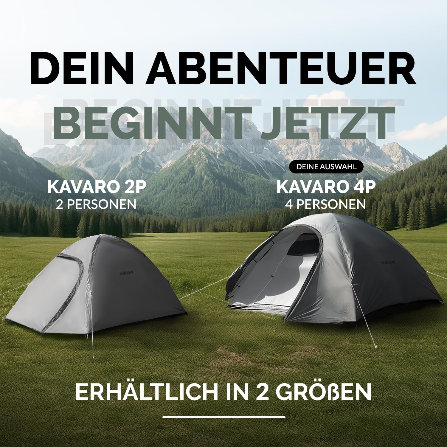 Zelt 2 oder 4 Personen Doppelwandiges Campingzelt mit Mückenschutz schneller Aufbau, wasserdicht, winddicht & atmungsaktiv, leicht, faltbar inkl. Tragetasche ideal für Camping & Festival Grau