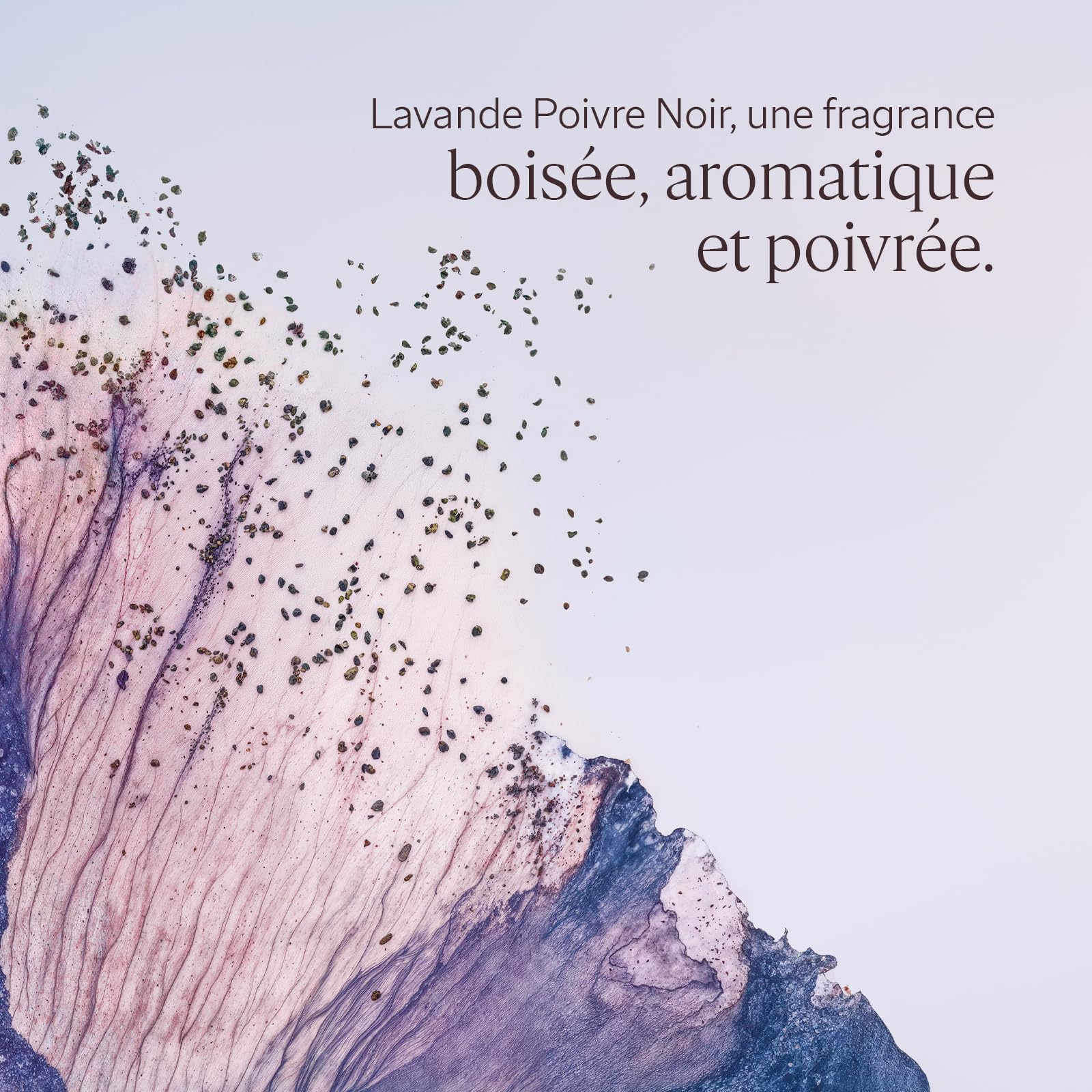 L'OCCITANE - Eau de Toilette Lavande Poivre Noir - 50 ml | Notes boisées, aromatiques et poivrées - Accords de Lavande, Poivre Noir et Bois de Cèdre - Fabriqué en France