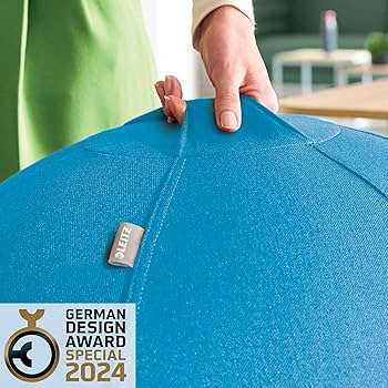 Leitz Ergo Active Sitting Ball With Stopper Function, Ergonomically Designed Desk Chair Alternative, 55cm Diameter, Includes Fabric Ball Cover, Hand