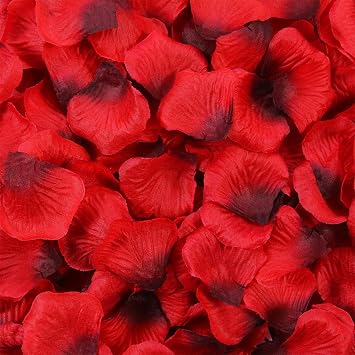 Artificial Petals 1000 PCS Dark-Red Silk Rose Petals for Romantic Night,Wedding,Proposal Anniversary Flower Decorations, Event, Party, in BulkRed-Black