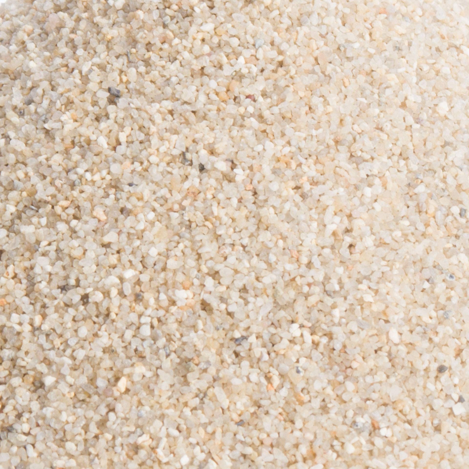 Schicker Mineral Terrariensand beige 25 kg, hochrein, kantengerundet, gewaschen und hocherhitzt, frei von organischen Stoffen, keimfrei, sofort einsetzbar, Terrariumkies (0,5-1,0 mm)