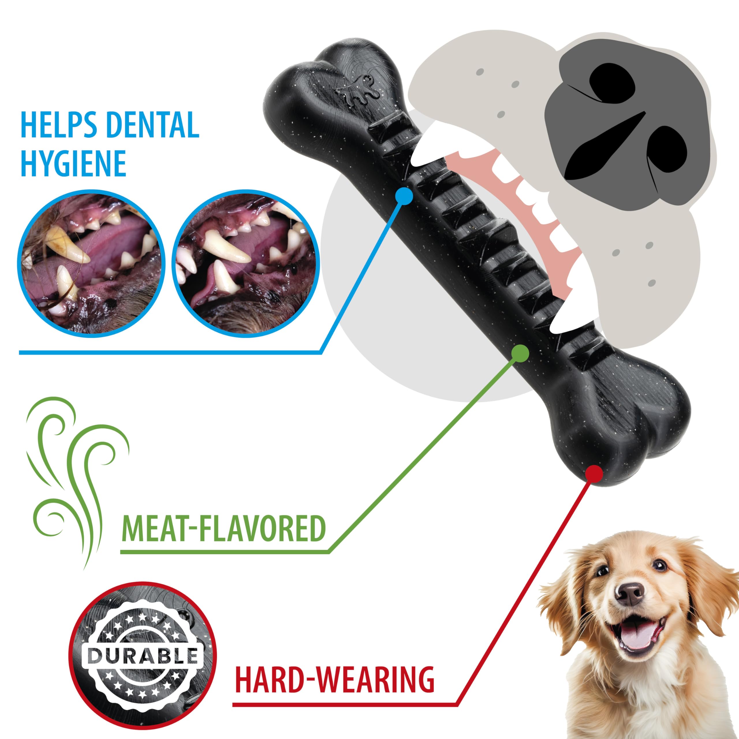 Ferplast Dog Toy, Dog Treat Dispenser Bone, Chew Toy, Made of Durable Material, Meat Flavoured - Image 3