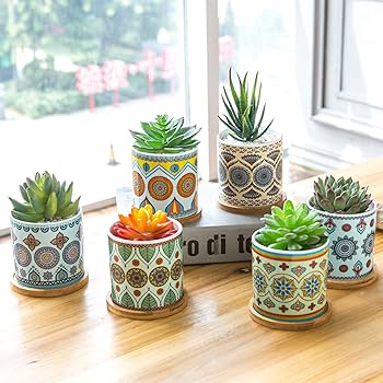 Amazon.com: COLOAPT Succulent Plant Pots - 3.1 inch Ceramic