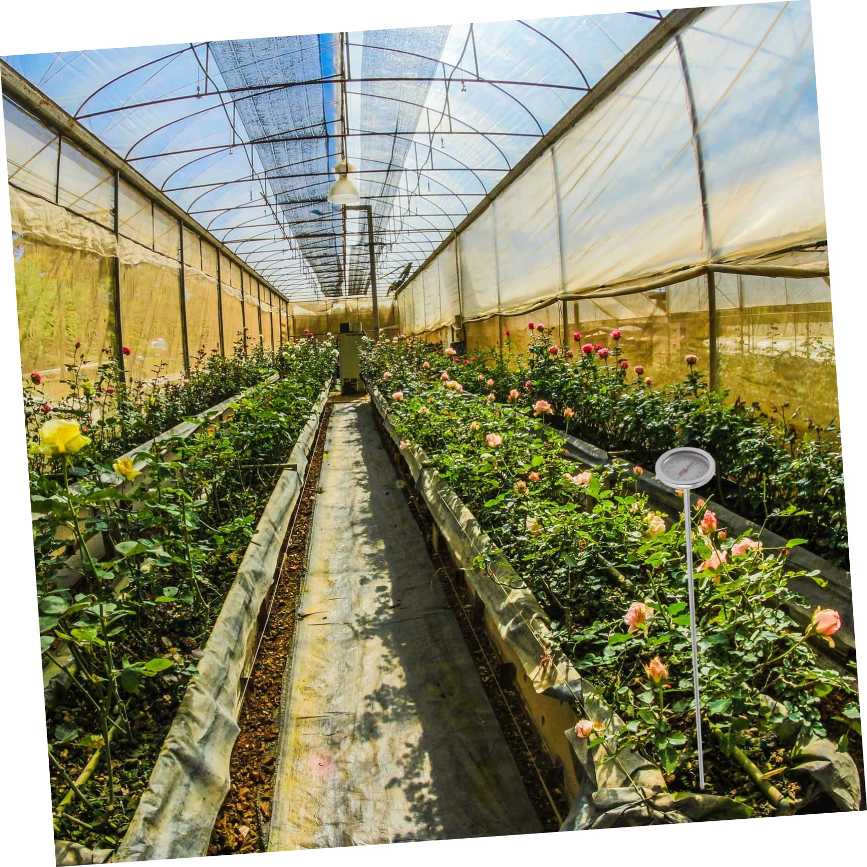 YARNOW 3pezzi Termometro Per Terreno Acciaio Inossidabile Misuratore Di Temperatura Per Compost e Giardinaggio Strumento Pratico e Preciso
