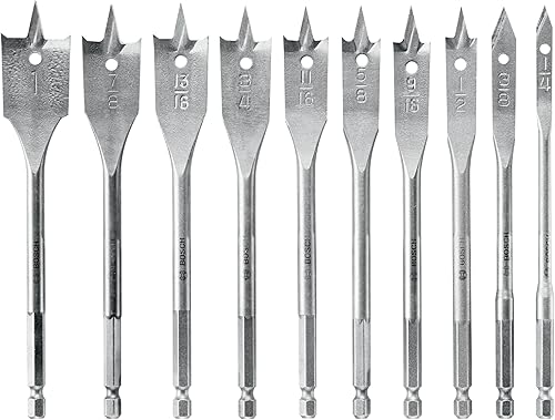 Bosch SB0010 - Juego de puntas de punta de cincel (10 unidades)