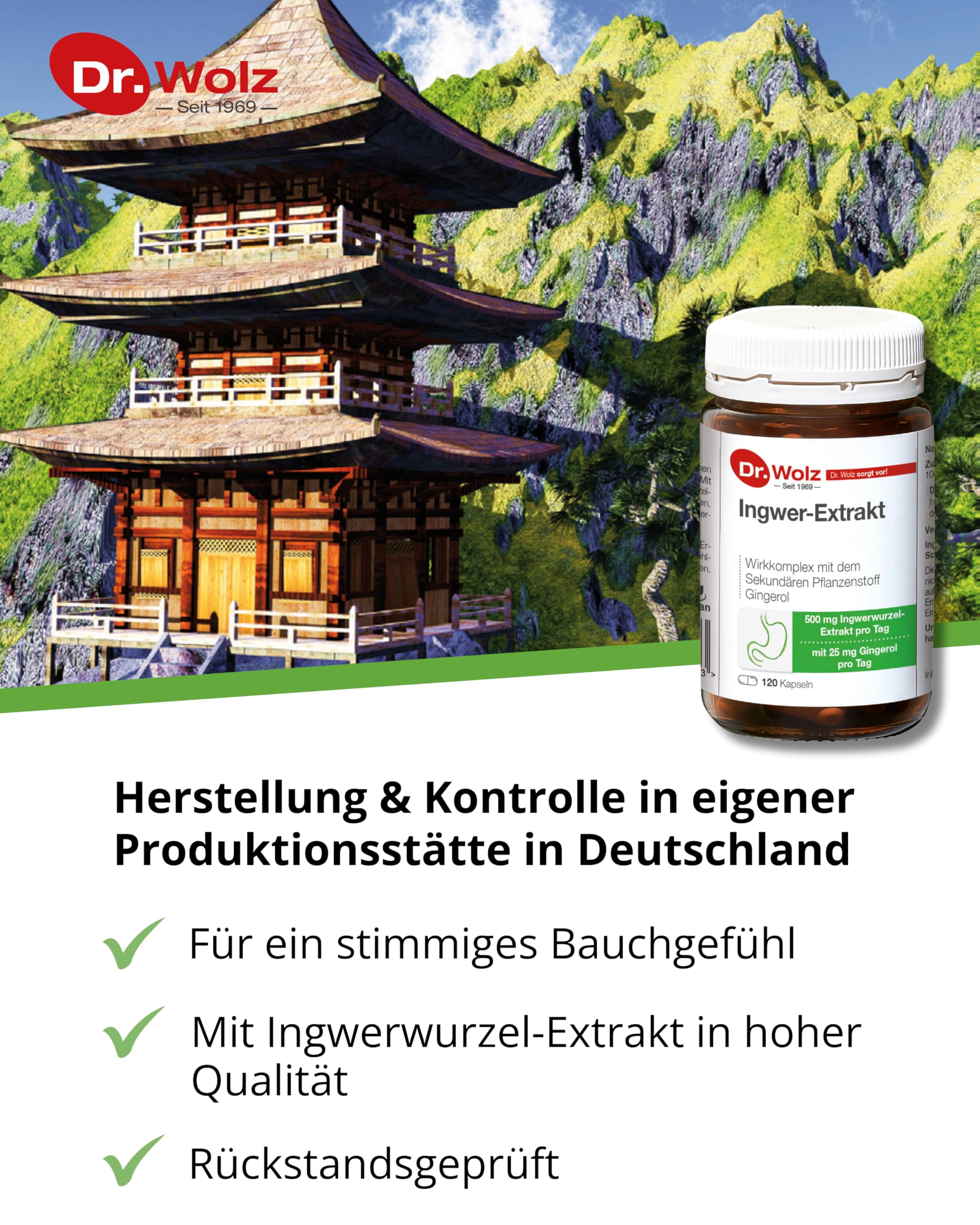 Dr. Wolz Ingwer-Extrakt Kapseln, mit einem hohen Anteil an Gingerol aus 500mg Ingwerwurzel-Extrakt, Rückstandskontrolliert und deutsche Herstellung, 120 Kapseln
