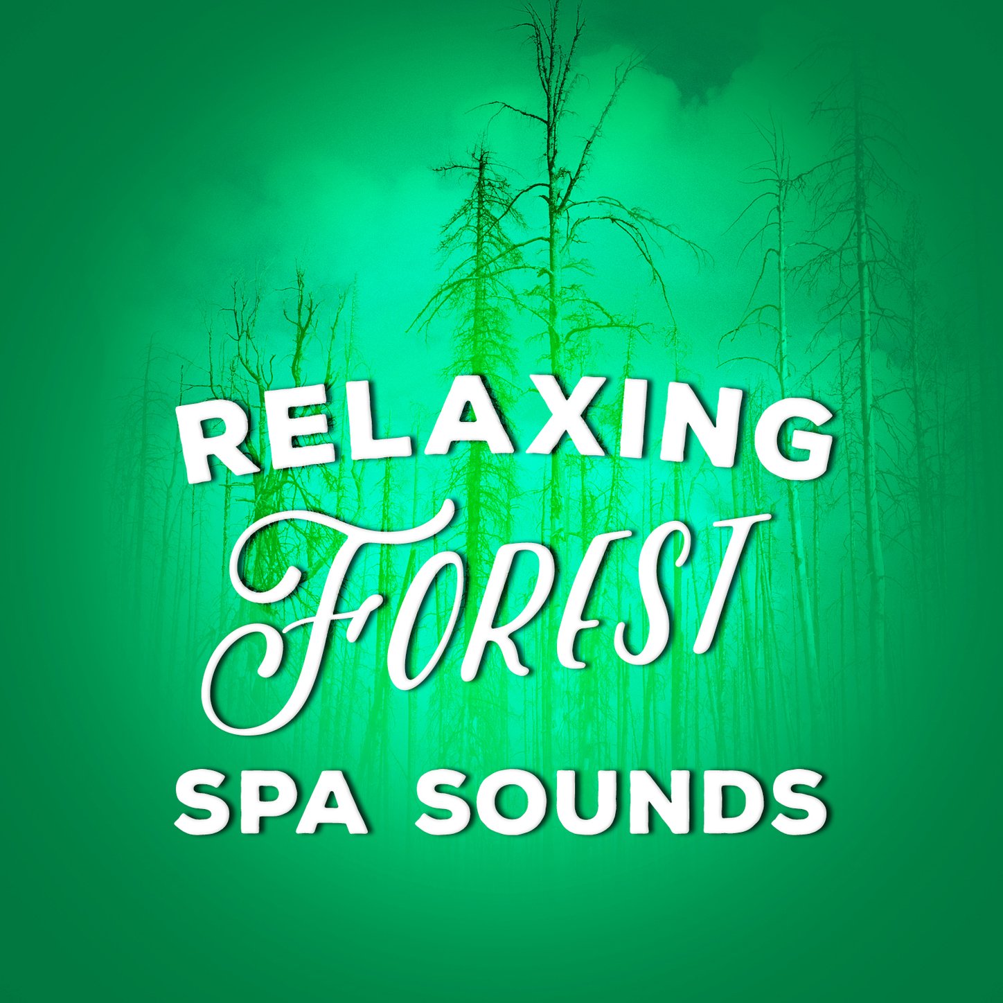 Forest Sounds Relaxing Spa Music Singing Birds