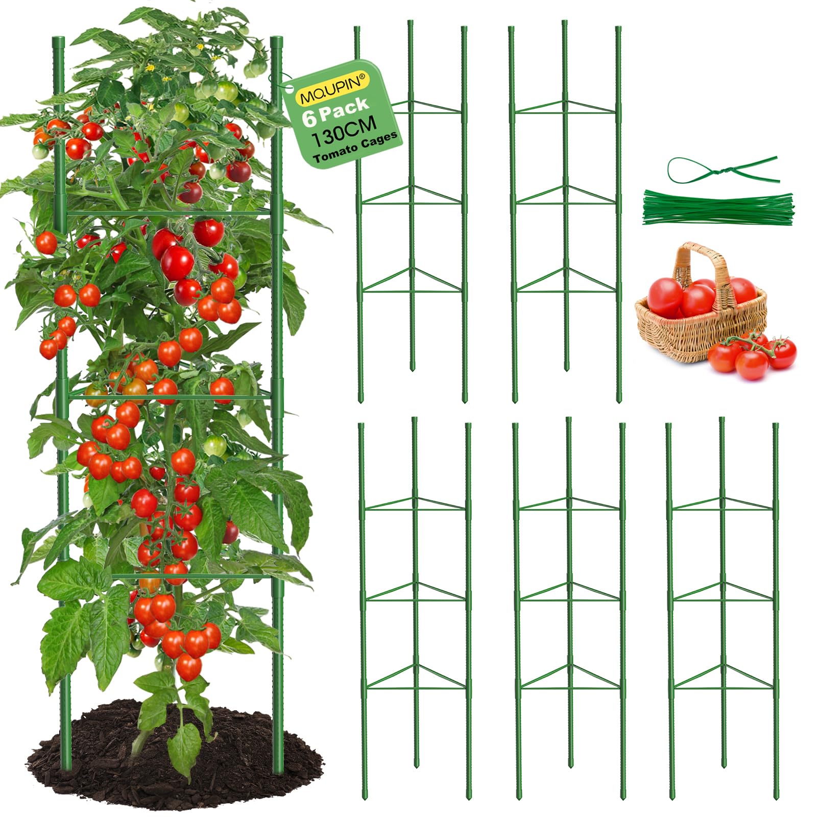 mqupin tuteur tomate