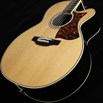 Amazon | Takamine DMP50S NAT エレアコギター 島村楽器 x Takamine
