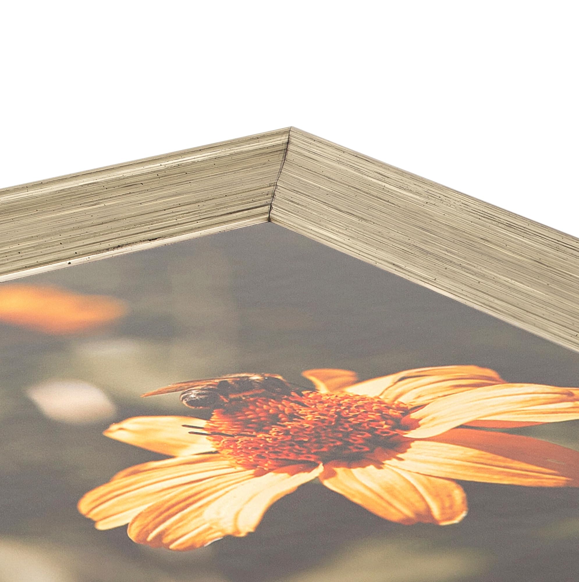 Amazon.co.jp: ArtToFrames 25x28インチ シルバー写真フレーム 2.00