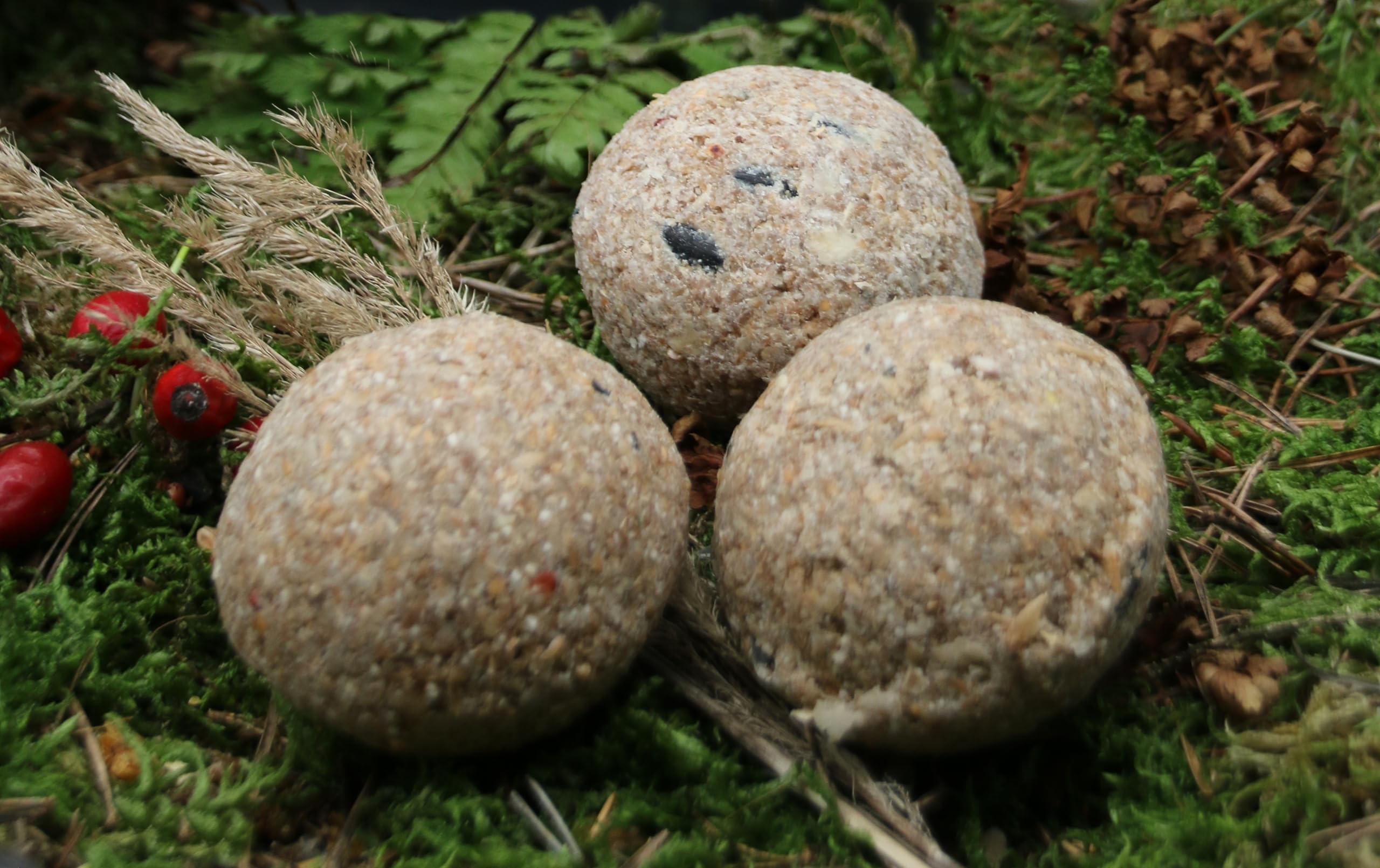 Anhaltiner Meisenknödel 100 Stück ohne Netz mit Insekten Vogelfutter Wildvogelfutter Meisenfutter eigene Produktion in Deutschland hergestellt