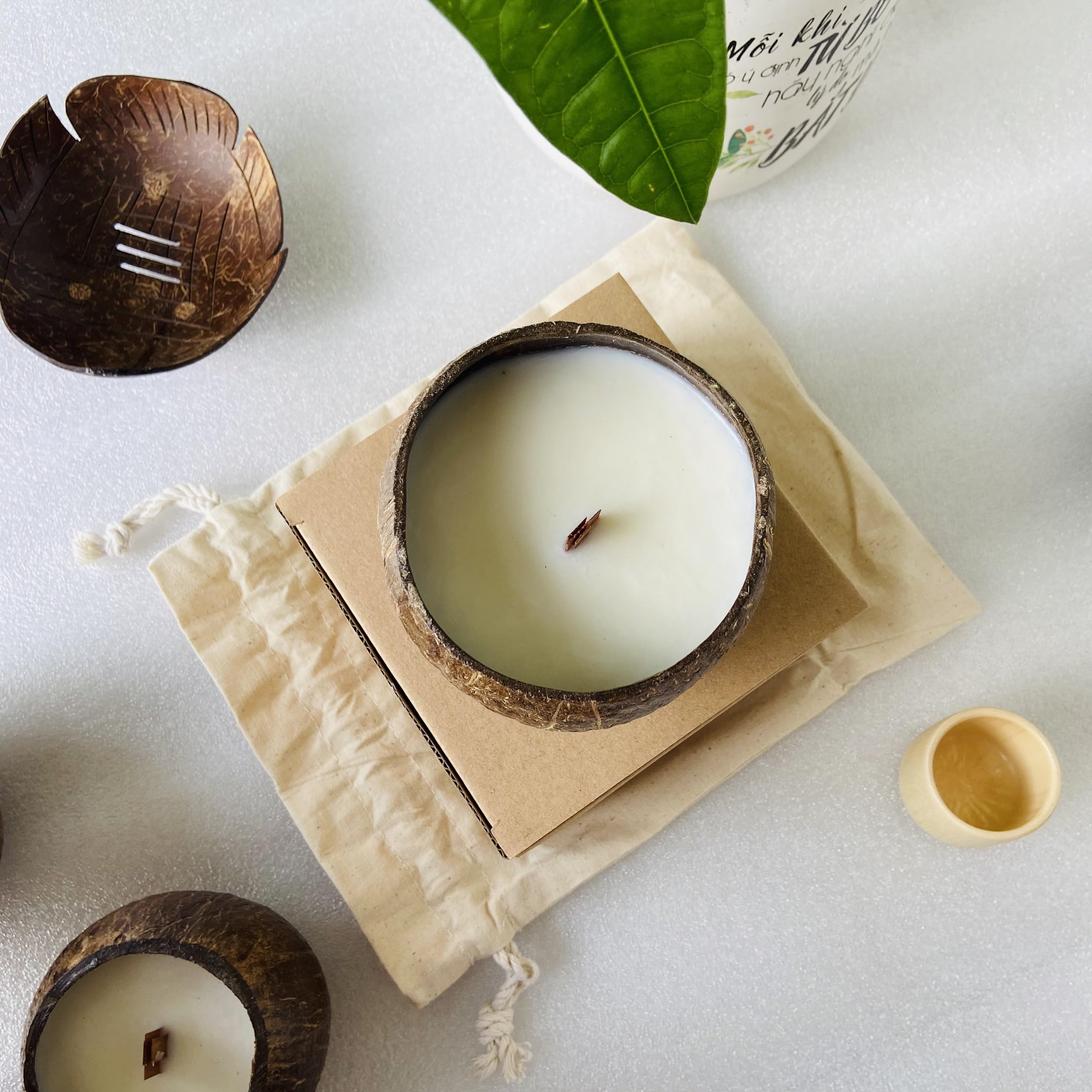 Purple Turtle Coconut Wax Candle with Citronella Scent (Wooden Wick) - Organic - Hand Poured - Vegan