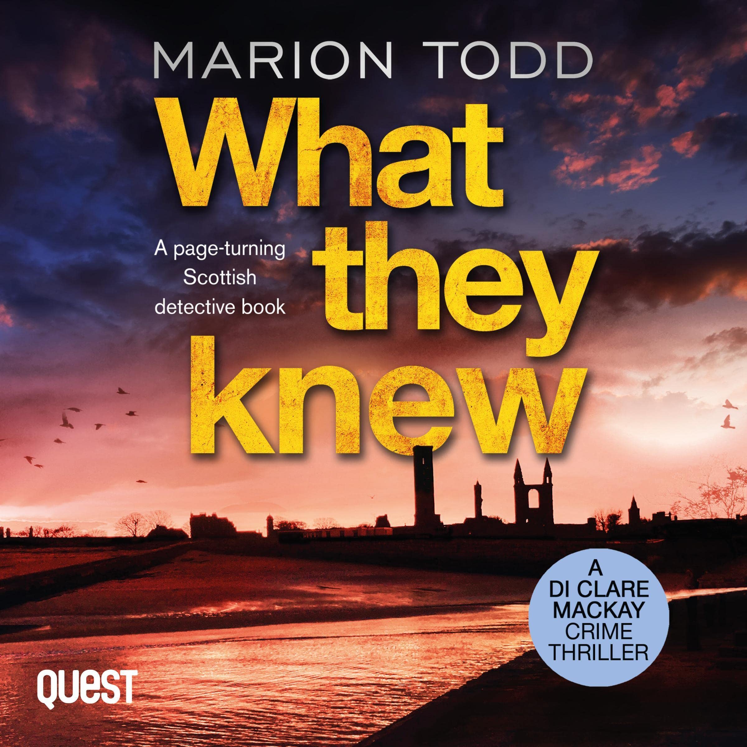 Cover art for What They Knew