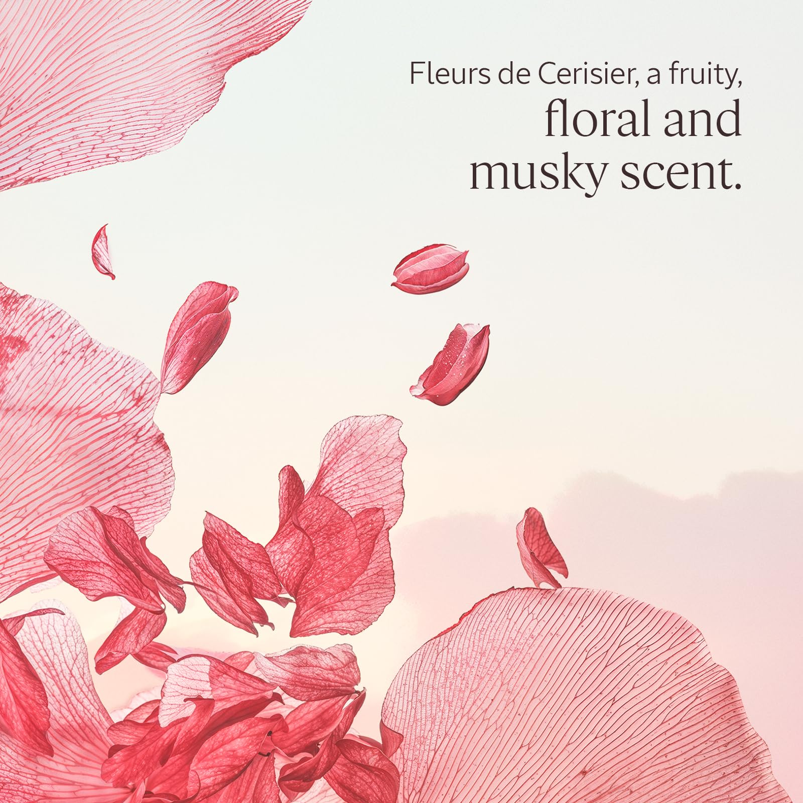 L'OCCITANE - Fleurs de Cerisier (Cherry Blossom) Shower Gel - 75 ml - Fruity, floral and musky fragrance - Made in France - Image 2