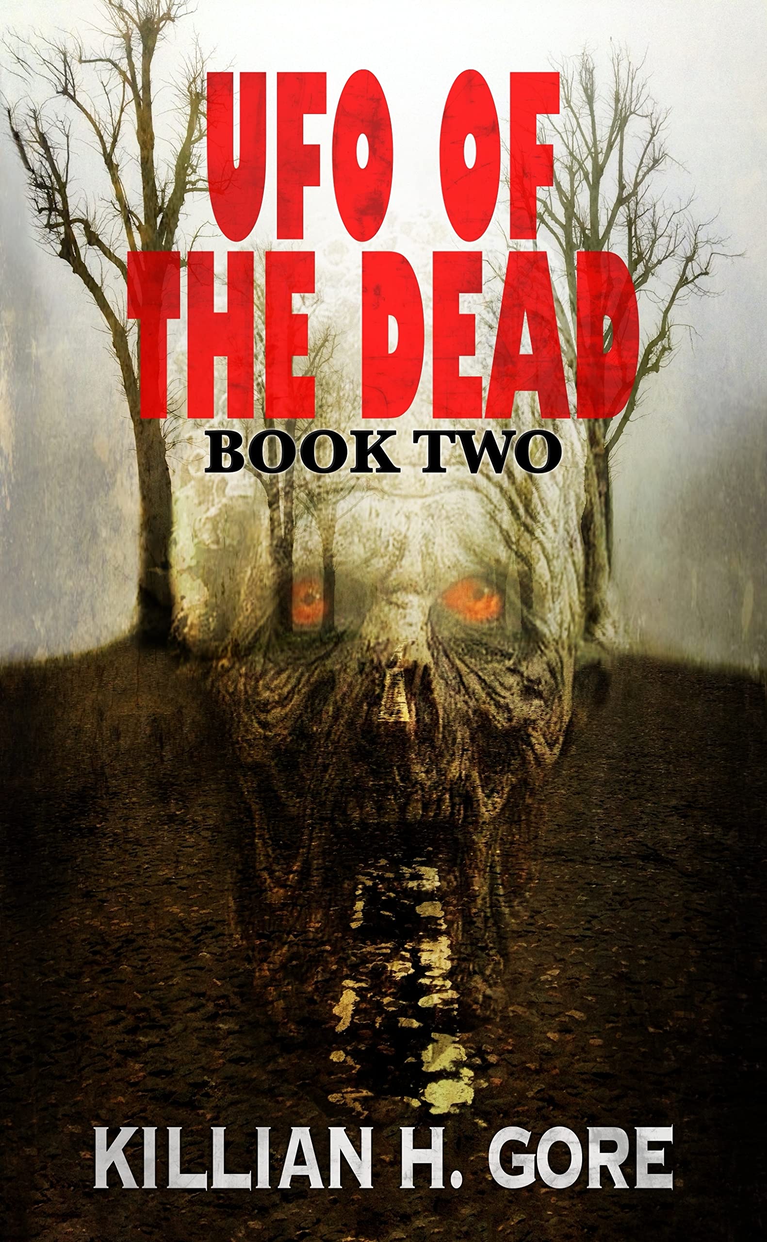 Cover of UFO of the Dead: Book Two